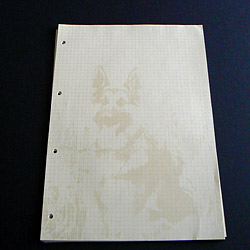 Wkłady do segregator&oacute;w A4